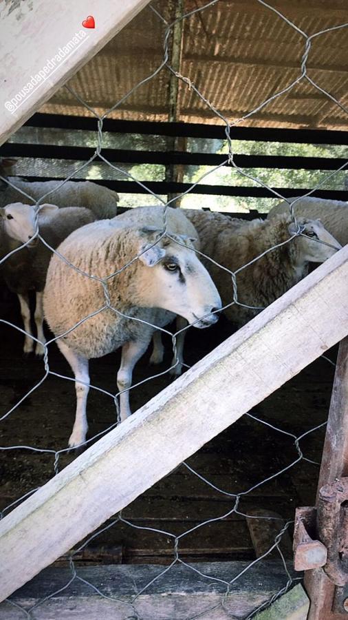 Pousada Pedra Da Mata Chales Na Montanha Munhoz Zewnętrze zdjęcie