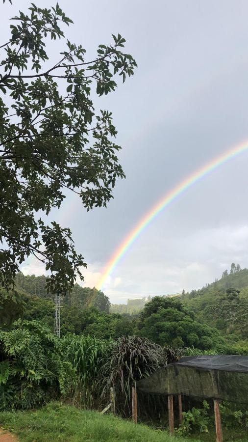 Pousada Pedra Da Mata Chales Na Montanha Munhoz Zewnętrze zdjęcie