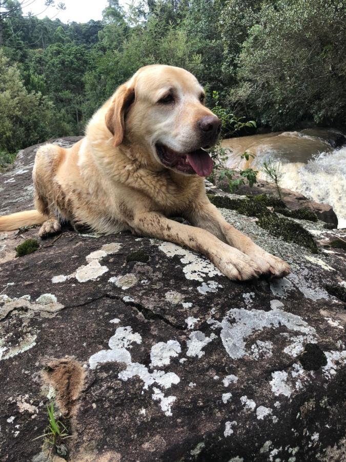 Pousada Pedra Da Mata Chales Na Montanha Munhoz Zewnętrze zdjęcie